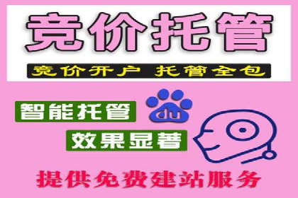 百度推广运营实战：成功案例解析